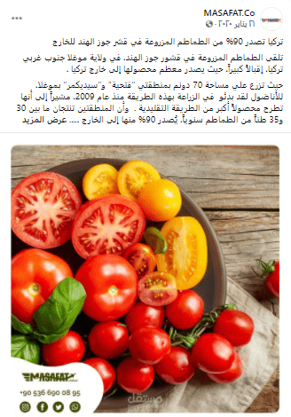 كتابة محتوى سوشيل ميديا