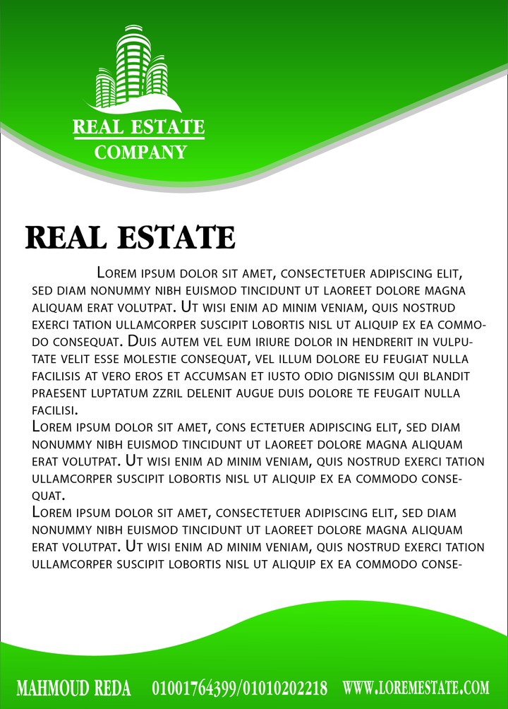 FLYER REAL ESTATE