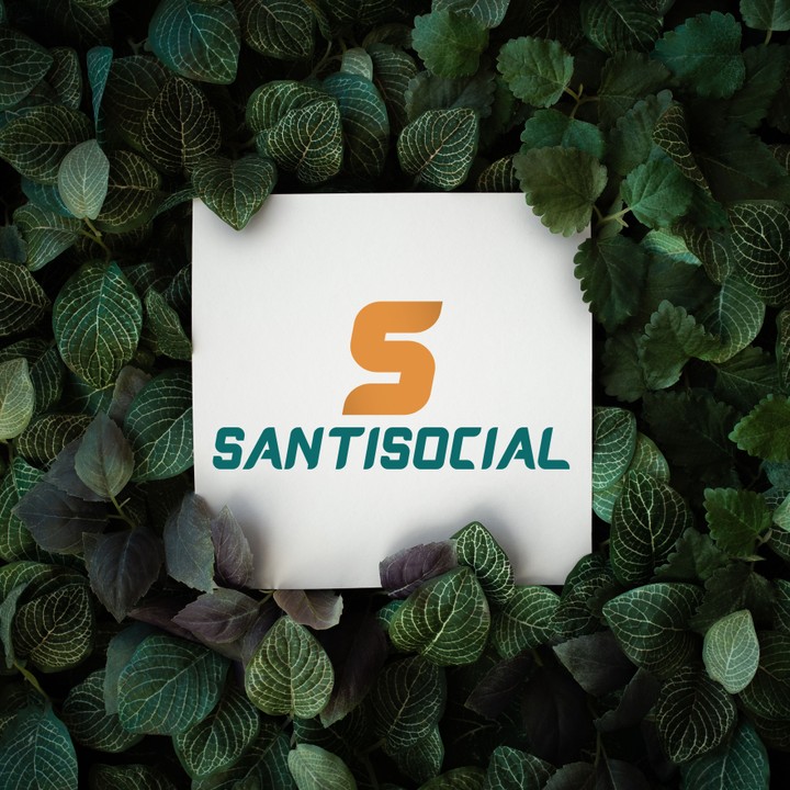 santisocial logo