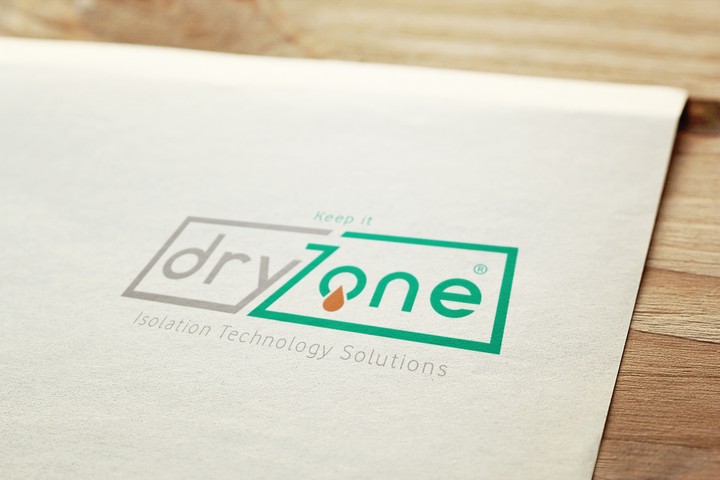 لوجو dryzone مع عرض فكرة الشعار والألوان