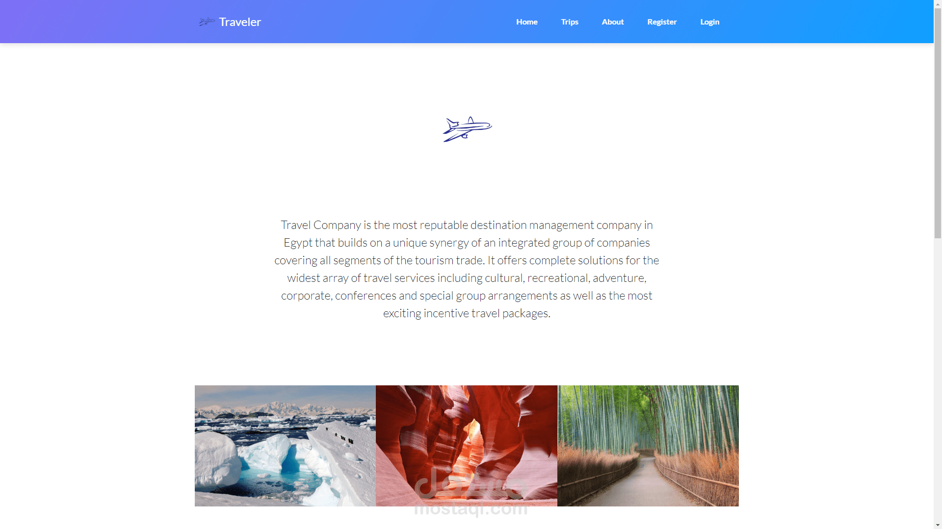 Travel Website