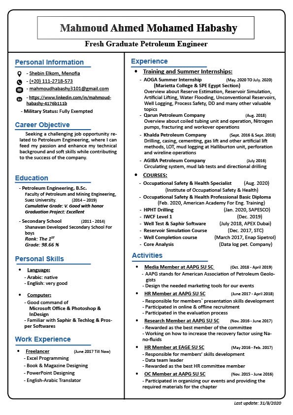 Petroleum Engineer CV