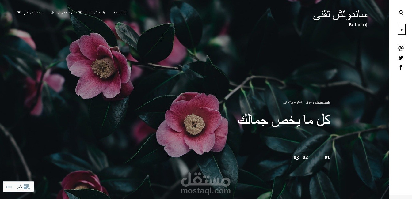 تطوير مدونة