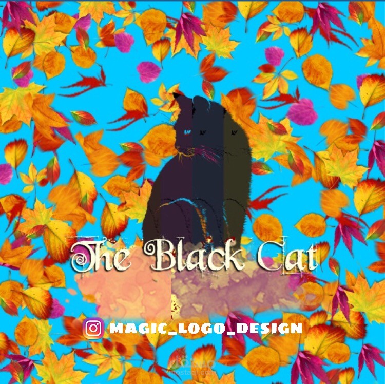 the-black-cat