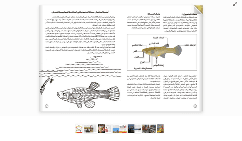 filp book لمجلة أو كتاب