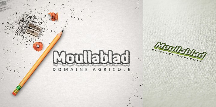 moullablad logo