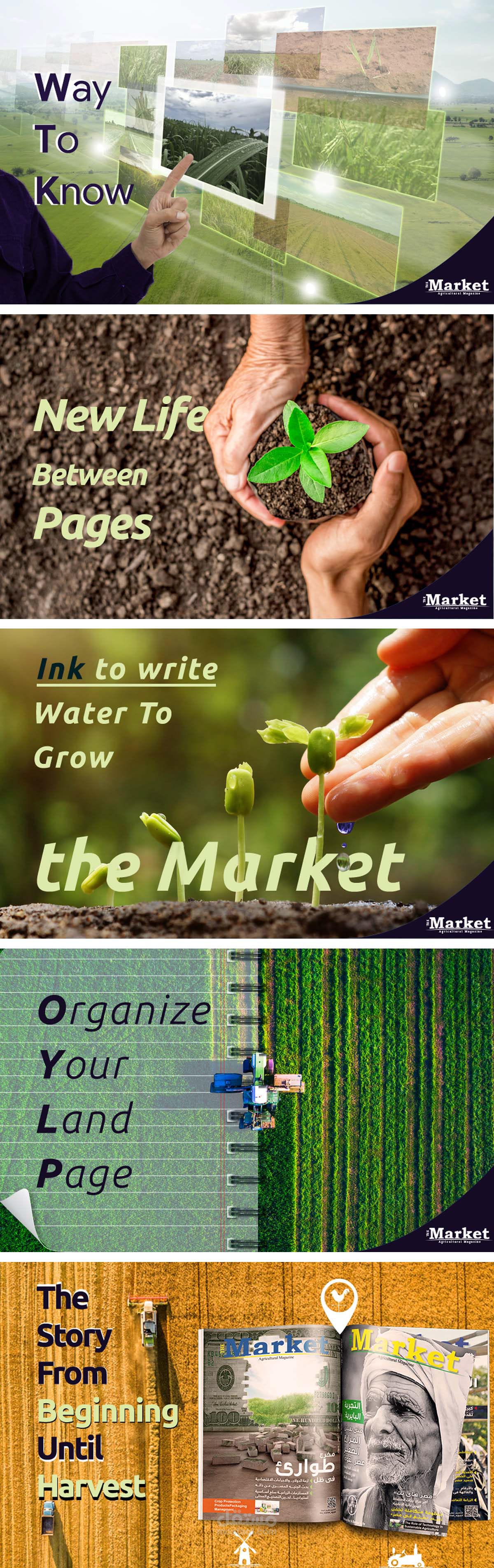 Market Magazine Web Banner