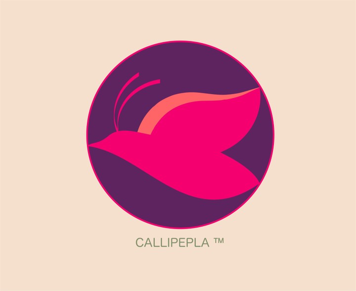 Callipepla Brand