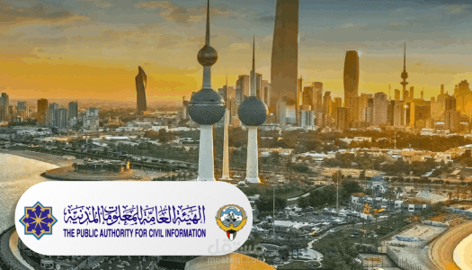 PACI App (New Vision Systems – الكويت)