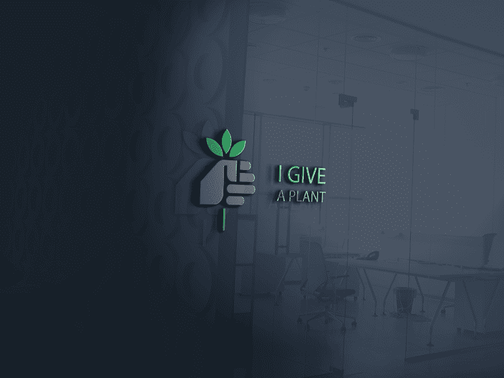 i give a plant