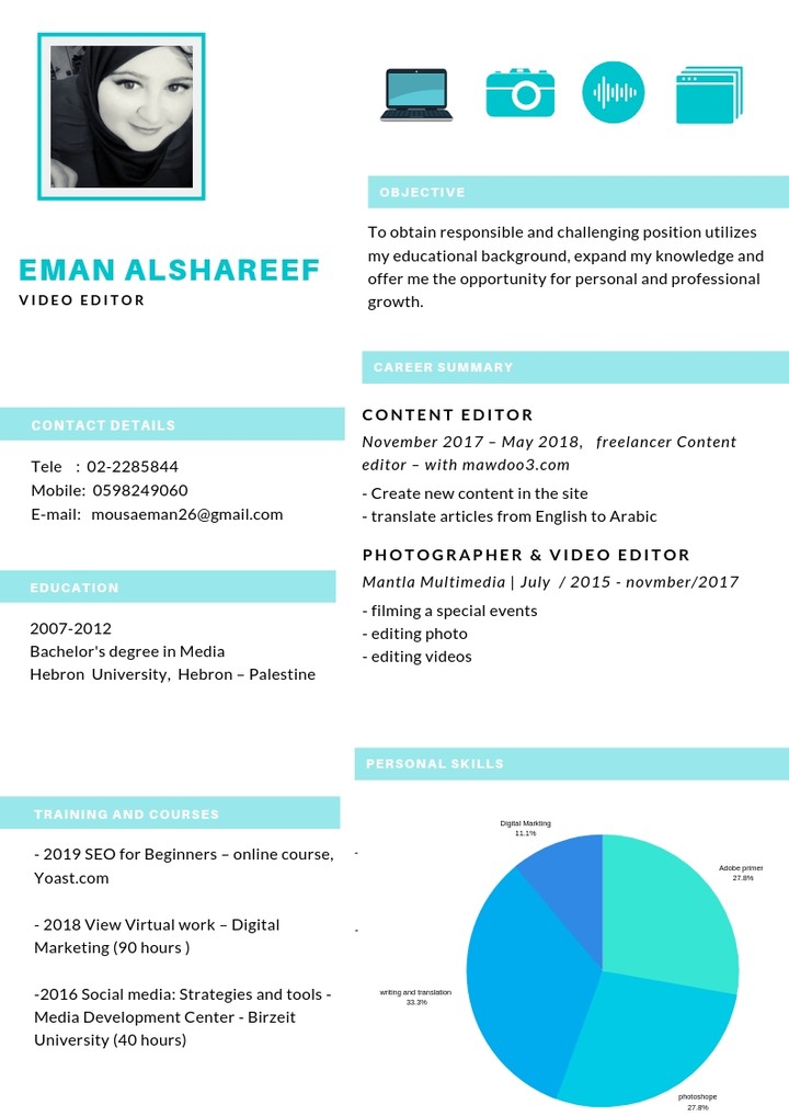 info graphic resume