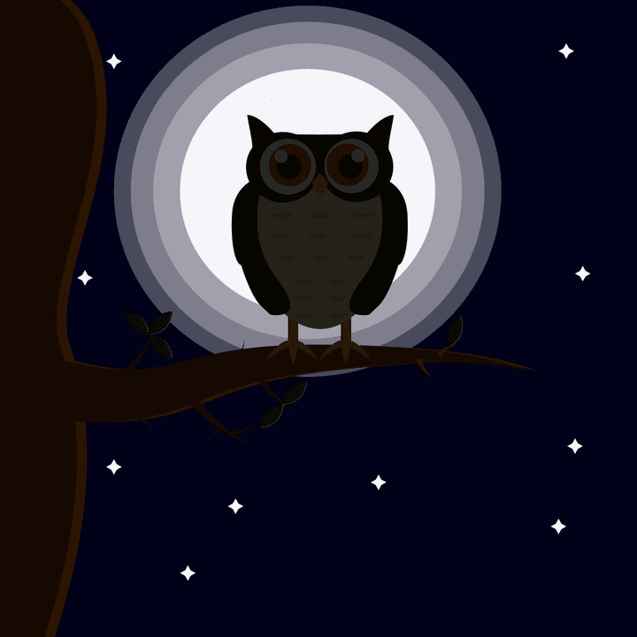 Night owl scene