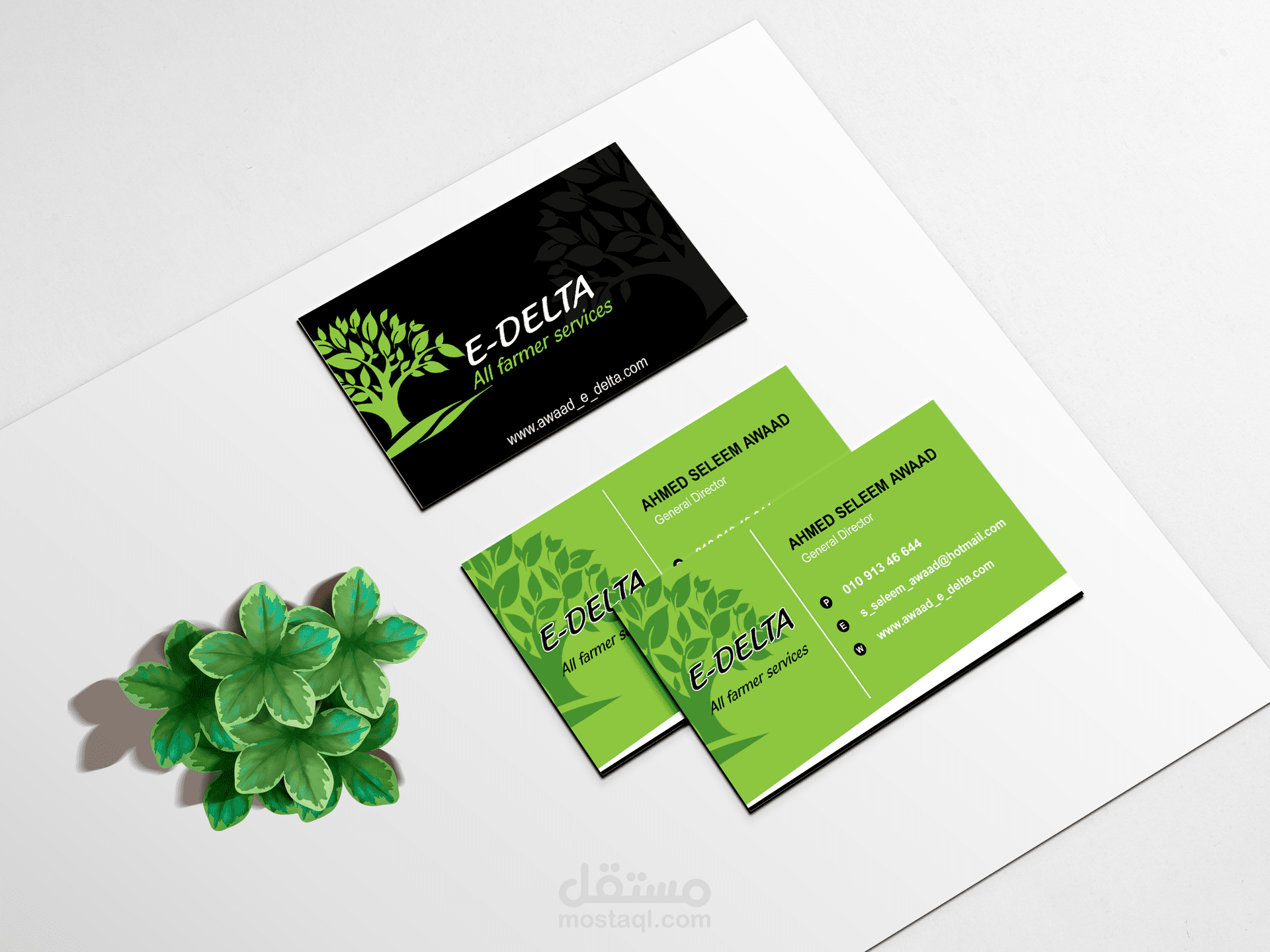 Business card E-Delta   All farmer services