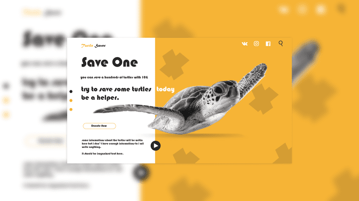 Save turtles web design