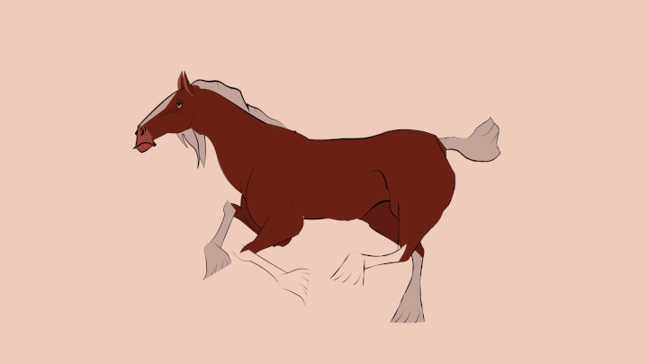 horse