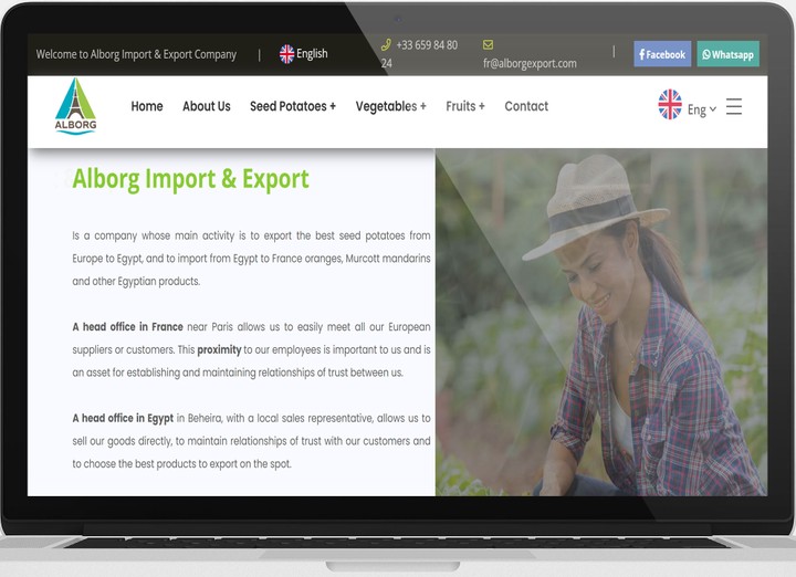 موقع الكترونى لشركة استيراد وتصدير حاصلات زراعية