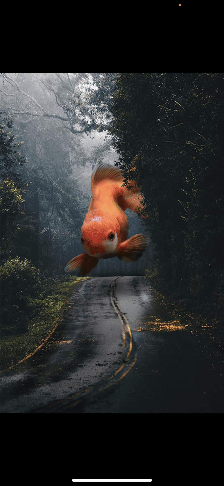 Photoshop manipulation