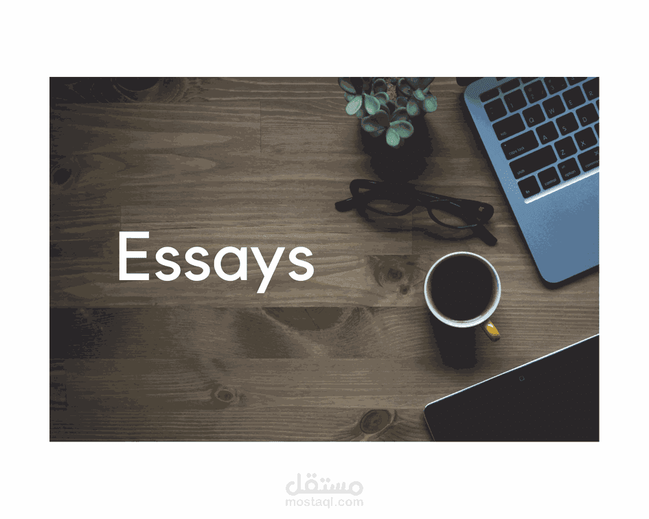 essay writing and summarization