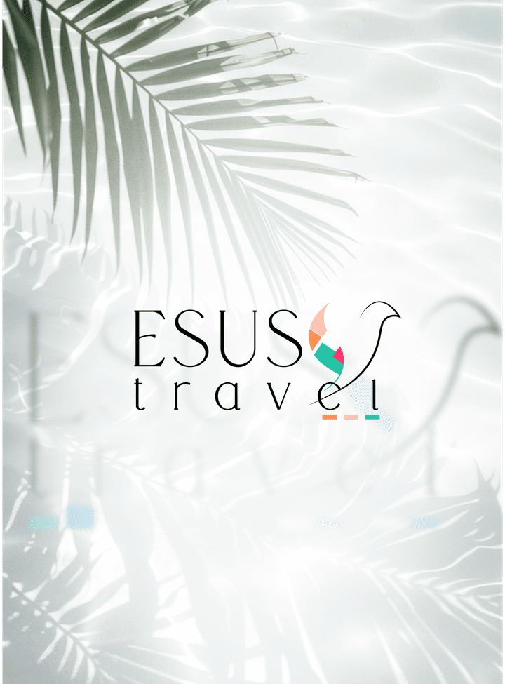 لوجو لموقع الالكترونى للسافر  "logo for travel website'