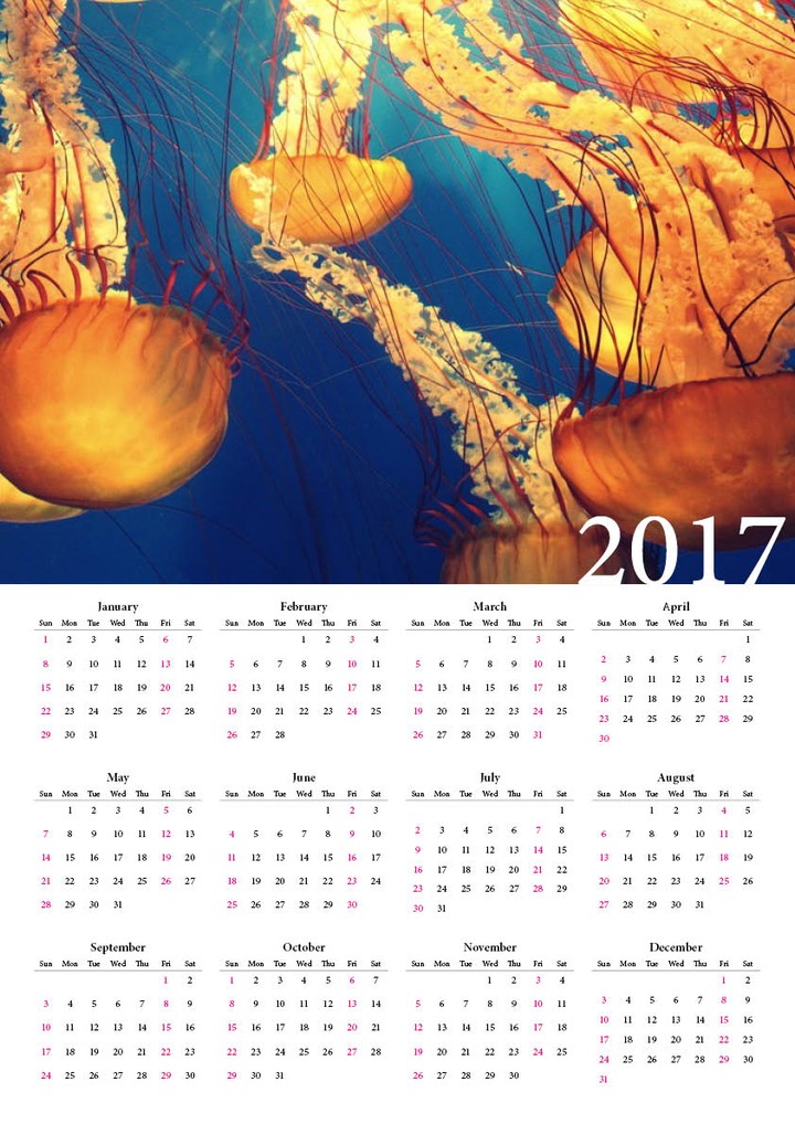 calendar design