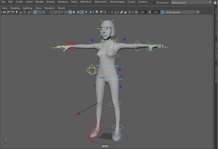 Female Rig