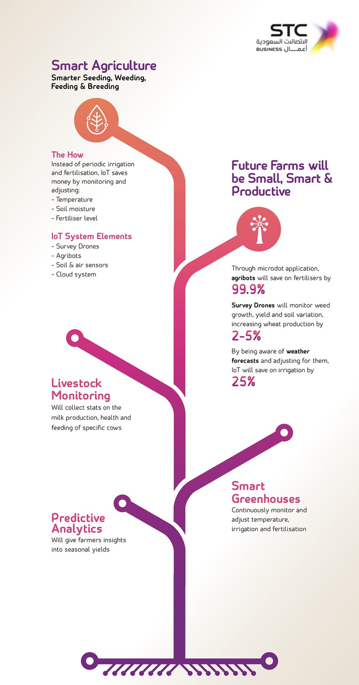 Infographics for STC Business