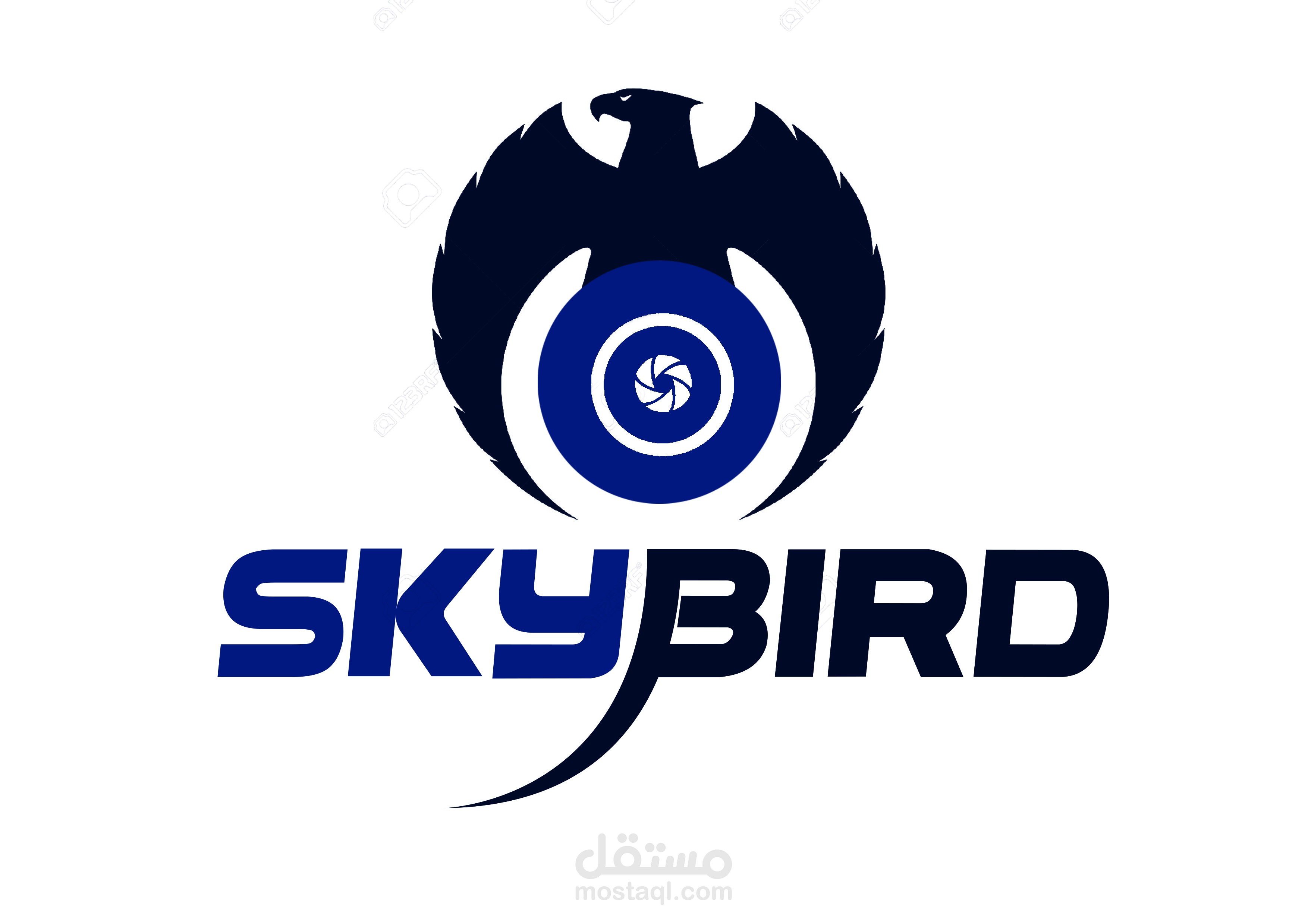 sky bird