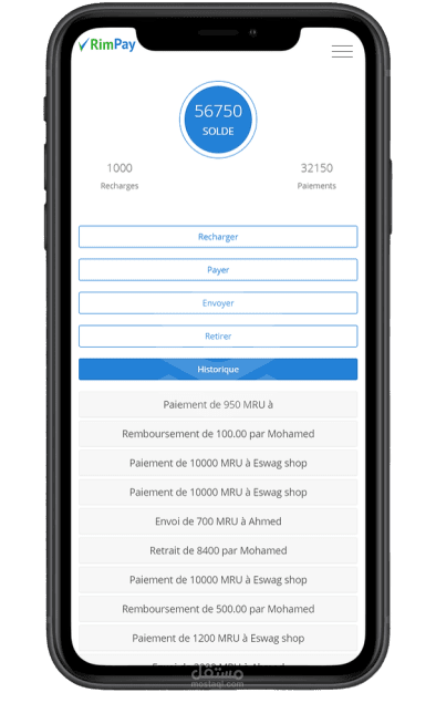 Online Payment System