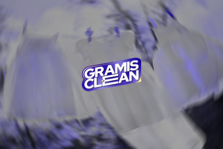 GRAMIS CLEAN - Logo Design