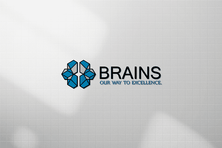 Brains Logo Design