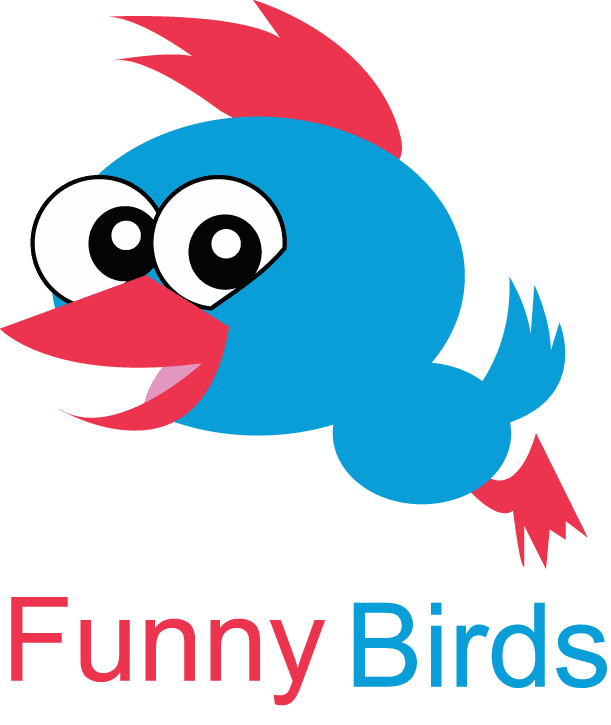 funny birds