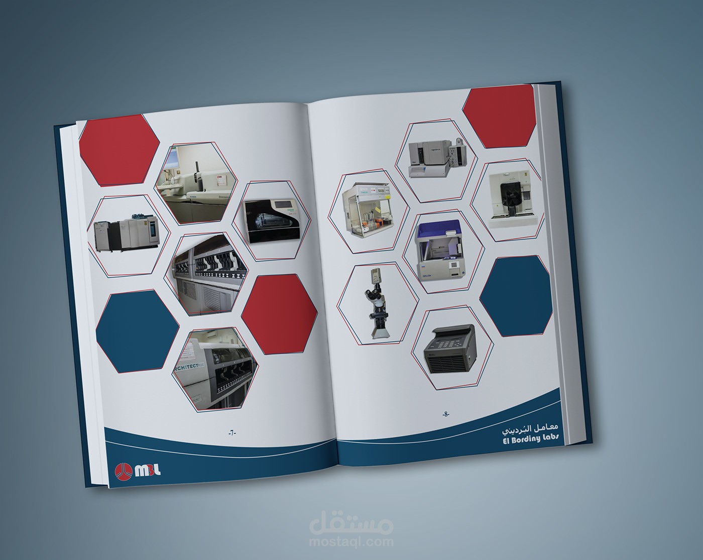 elbordiny labs brochure