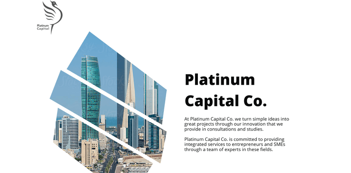 Platinum Capital Co.