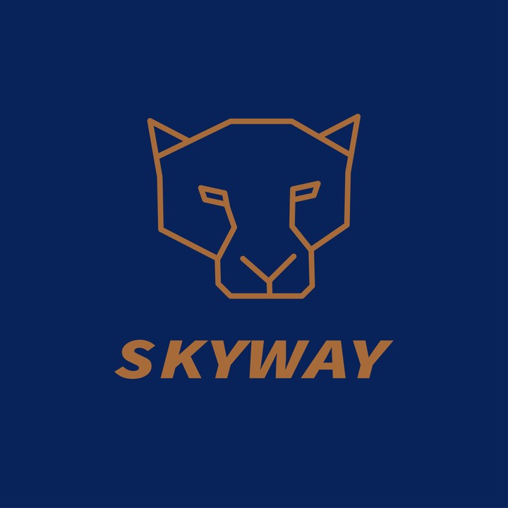 skyway/logo and visual