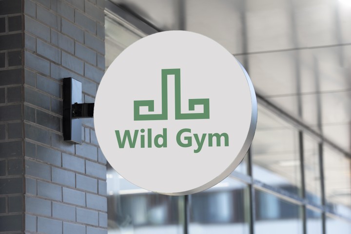 wild gym / branding