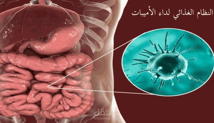 مقال عن النظام الغذائي لداء الأميبات