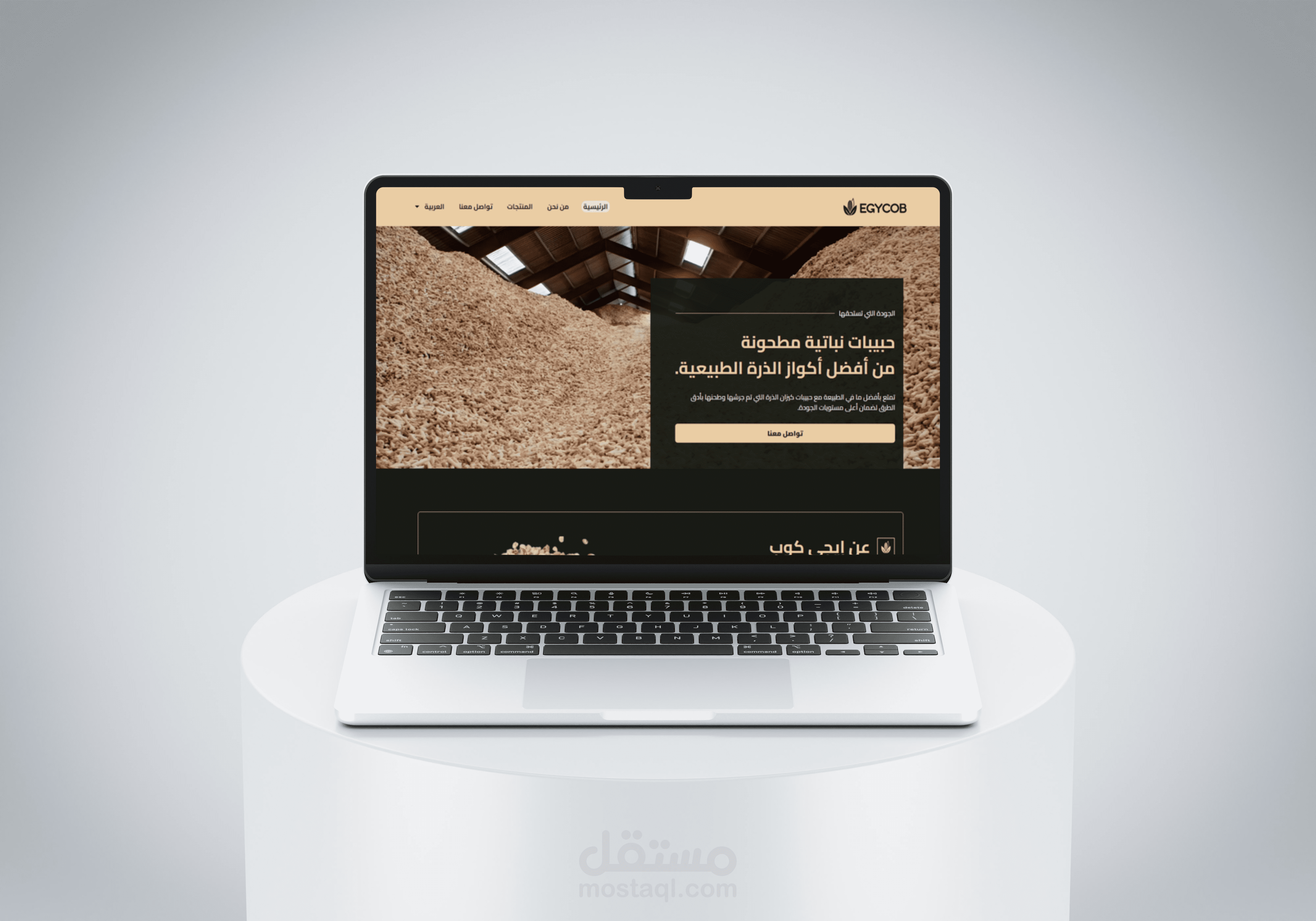 تصميم موقع ووردبريس  "EgyCob"