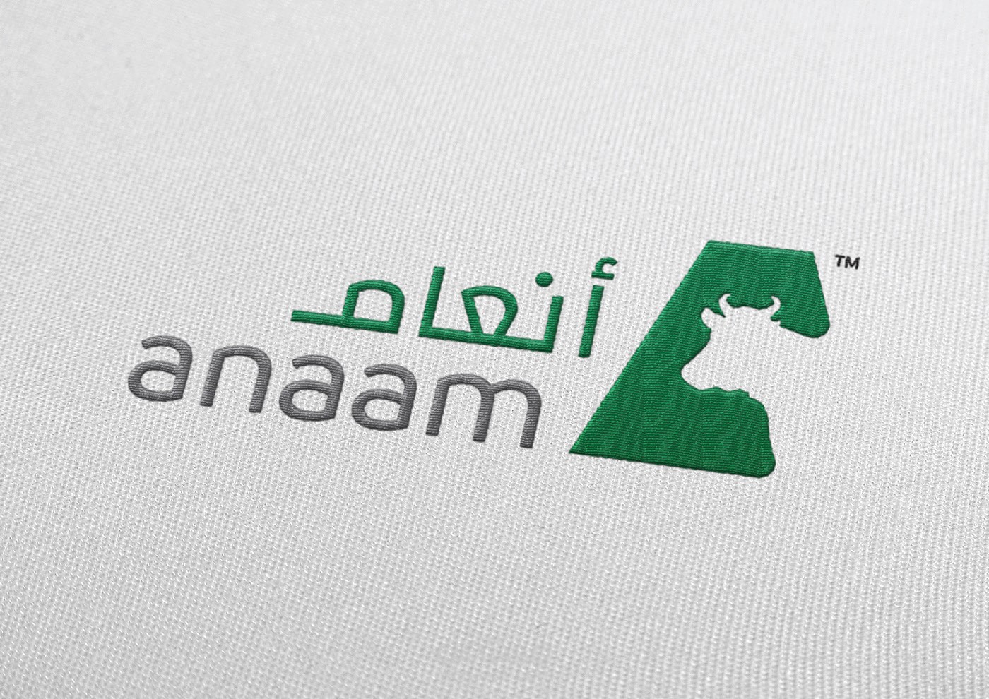 هوية بصرية