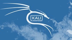 Kali Linux 2020.4 Optimization before hacking