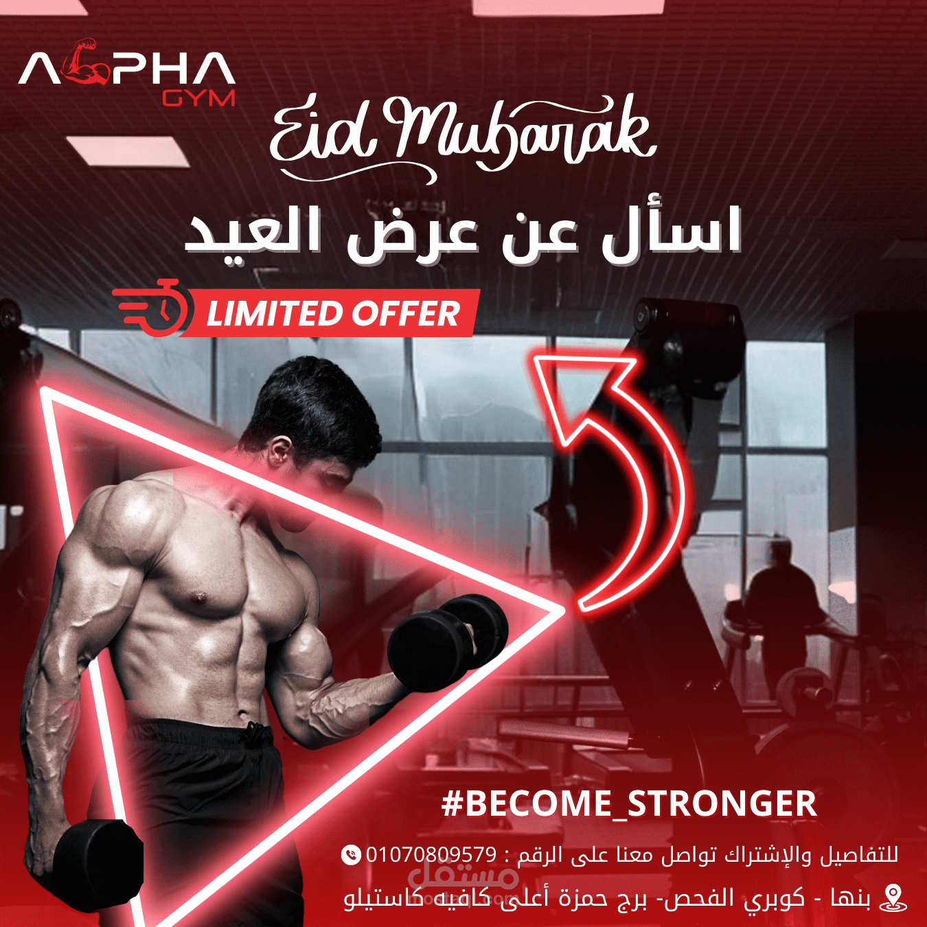 alpha gym