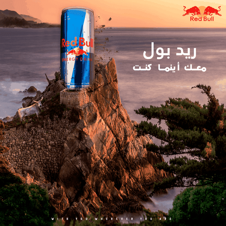 Red Bull Social Media