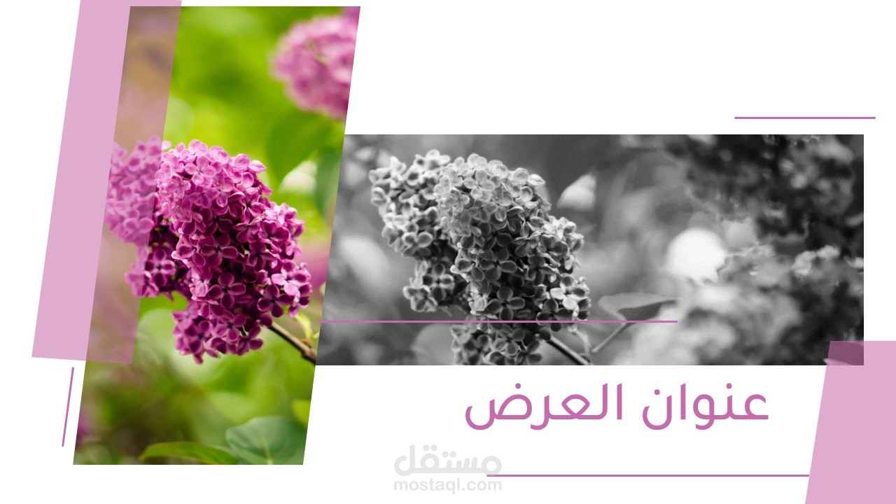 نموذج لعرض بوربوينت