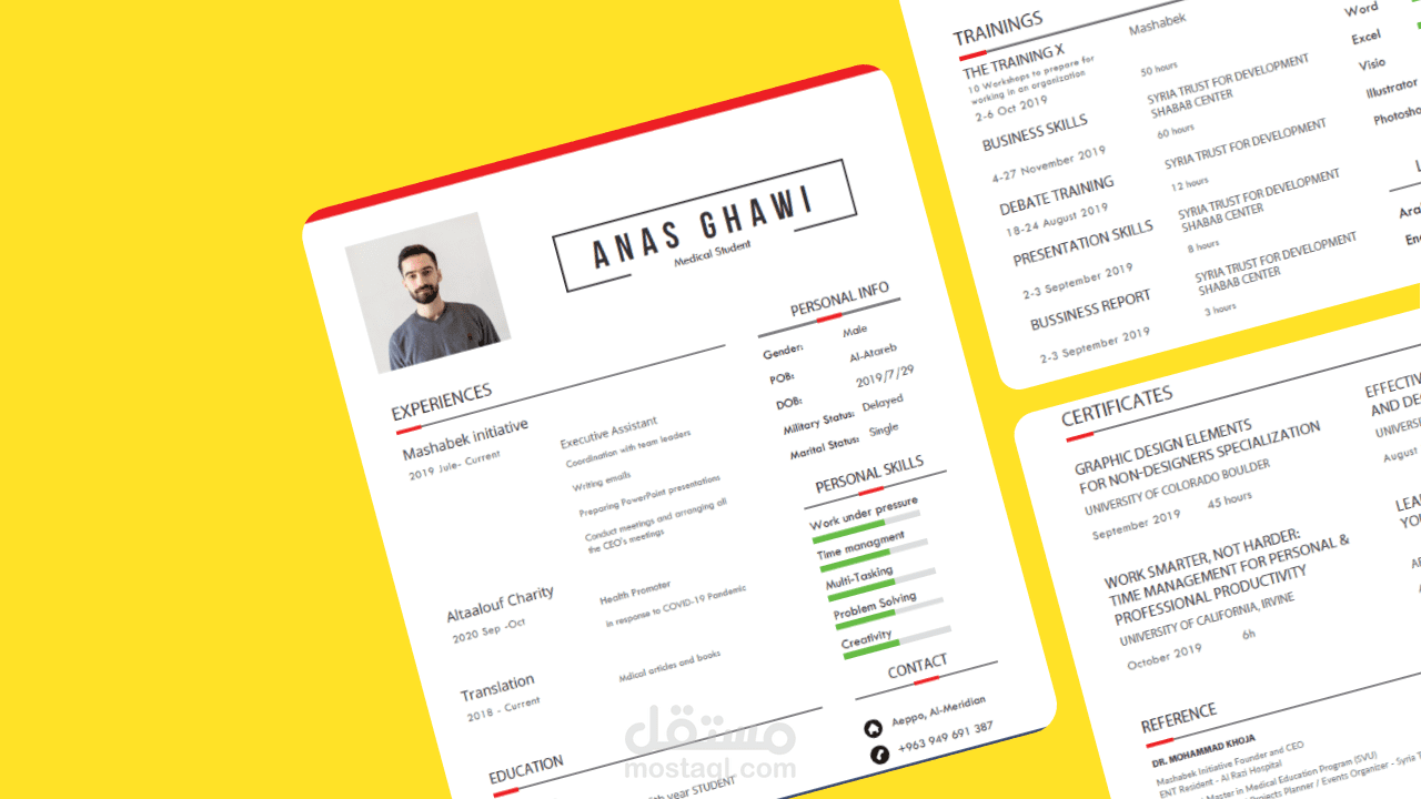 Illustrator - My CV