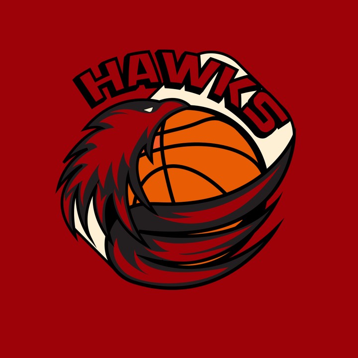 Basketball team logo