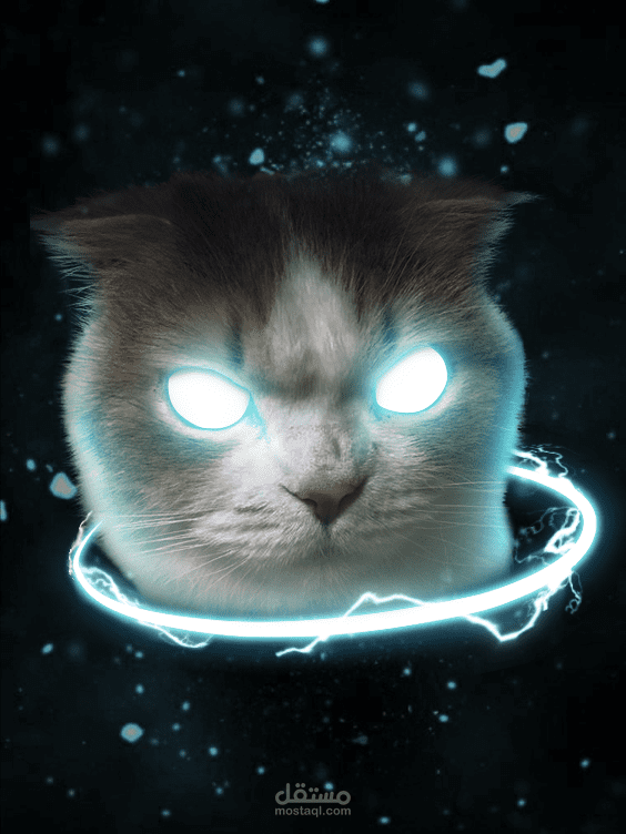 Cat glowing eyes