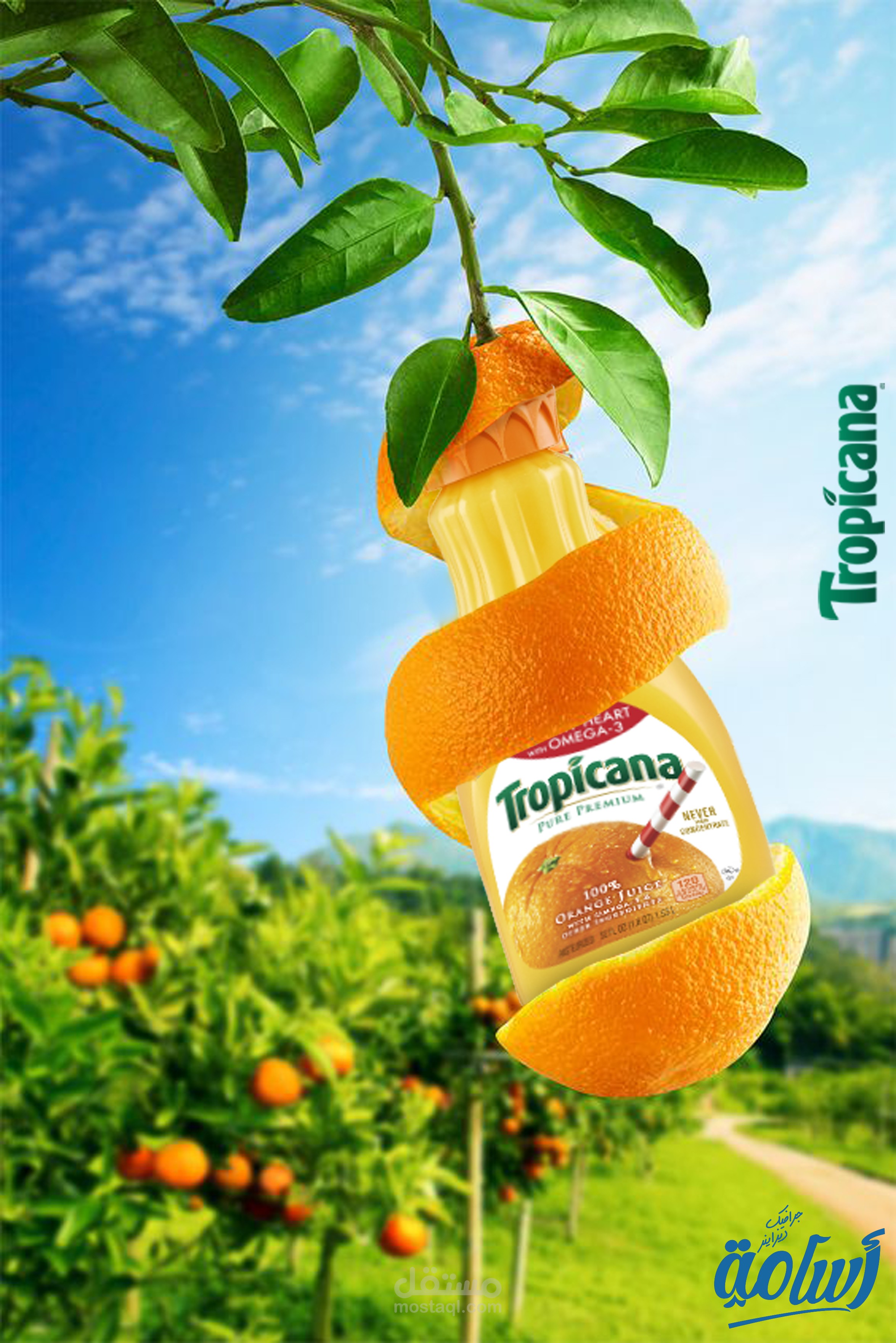 Tropicana  Social Media