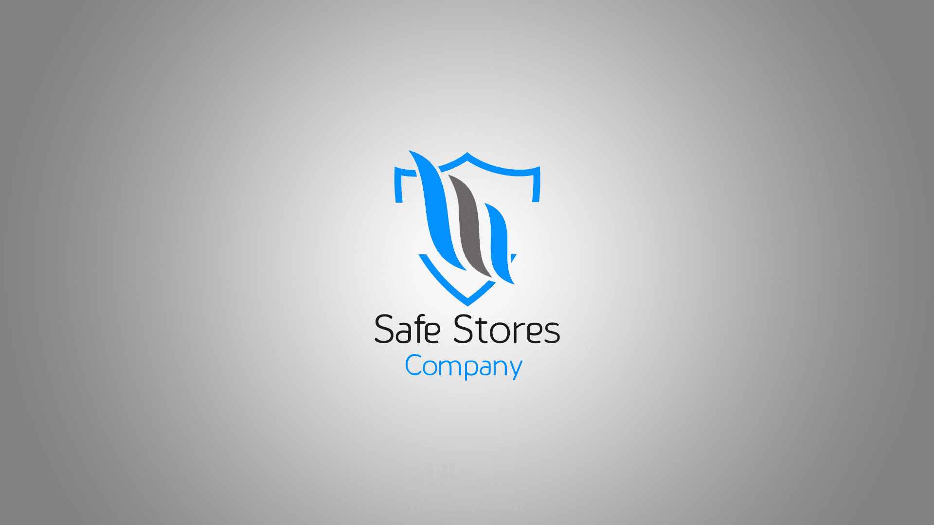 Safe Stores Company