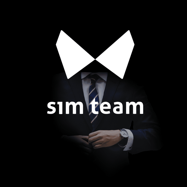 شعار وبيزنس كارد لشركه simteam