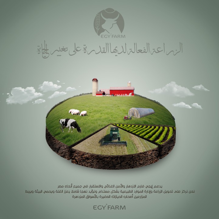 Egy Farm Social Media