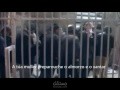 ترجمة قصيدة
